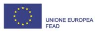 UEF